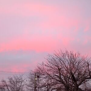 Meet your Posher, Deanna